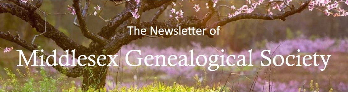 Newsletter logo