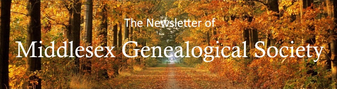 Newsletter logo